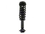 Front Strut and Spring Assembly; Passenger Side (2014 4WD F-150)