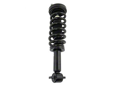 Front Strut and Spring Assembly; Passenger Side (2014 4WD F-150)