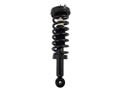 Front Strut and Spring Assembly (04-08 2WD F-150)
