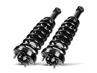 Front Strut Assemblies (09-14 2WD F-150)