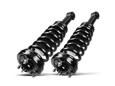 Front Strut Assemblies (09-14 4WD F-150, Excluding Raptor)