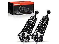 Front Strut Assemblies (04-08 4WD F-150)