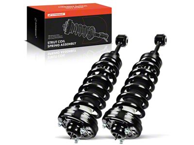 Front Strut Assemblies (04-08 4WD F-150)