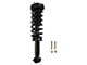 Front Strut and Spring Assemblies (15-19 4WD F-150, Excluding Raptor)
