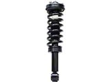 Front Strut and Spring Assembly (09-13 4WD F-150, Excluding Raptor)