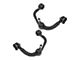 Front Upper and Lower Control Arms with Ball Joints (04-08 F-150)