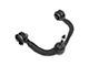 Front Upper Control Arm with Ball Joint; Driver Side (04-14 F-150)