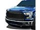 Grill; Badgeless Fence Style; Black (15-17 F-150)