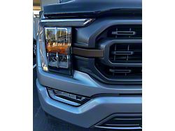 Grille Accent Trim; Domed Carbon Fiber (21-23 F-150 XL, XLT)