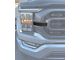 Grille Accent Trim; Domed Carbon Fiber (21-23 F-150 XL, XLT)