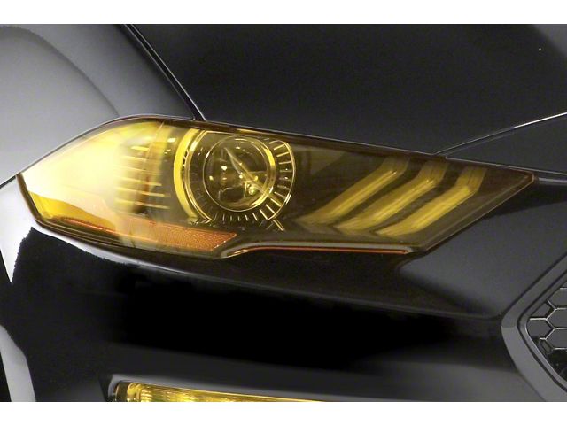 Headlight Covers; Transparent Yellow (09-14 F-150, Excluding Raptor)