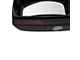 Heated Towing Mirror; Driver Side (07-14 F-150 w/o Marker Light)