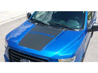 Hood Stripe with F-150 Logo; Gloss Black (15-20 F-150, Excluding Raptor)