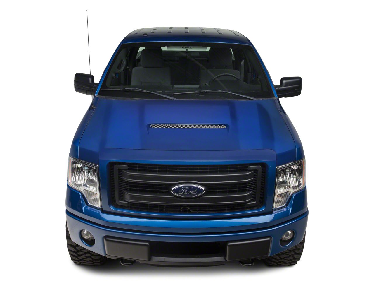 F-150 Hoods & Hood Accessories 2009-2014
