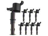 Ignition Coil Set (09-10 4.6L 2V F-150; 08-10 5.4L F-150)
