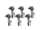 Ignition Coil Set with Iridium Spark Plugs; Black (11-17 3.5L, 3.7L F-150)