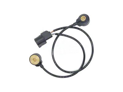 Ignition Knock Sensor (09-10 4.6L 3V F-150)