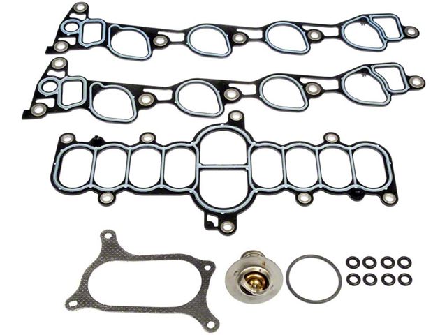 Intake Gasket Kit (97-01 4.6L F-150)