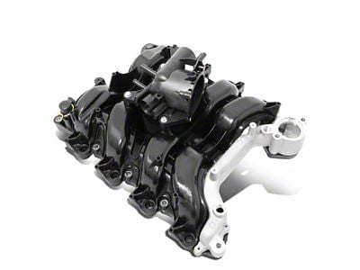 Intake Manifold; Black (09-10 4.6L F-150)