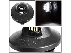 LED License Plate Lights (97-03 F-150)