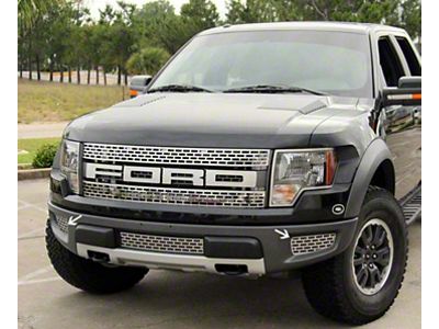 Lower Outer Bumper Grille Inserts; Polished (10-14 F-150 Raptor)