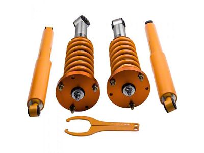 Lowering Front Strut Assemblies with Rear Shocks; Gold (04-08 2WD F-150)