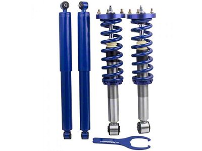 Lowering Front Strut Assemblies with Rear Shocks; Gold (04-08 2WD F-150)