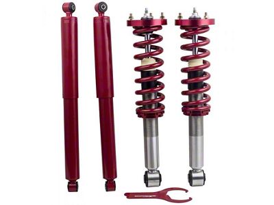 Lowering Front Strut Assemblies with Rear Shocks; Gold (04-08 2WD F-150)