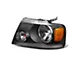 OE Style Headlight; Black Housing; Clear Lens; Driver Side (04-08 F-150)