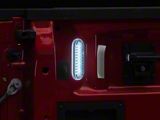OEM Style Bed Lighting Kit (21-25 F-150)