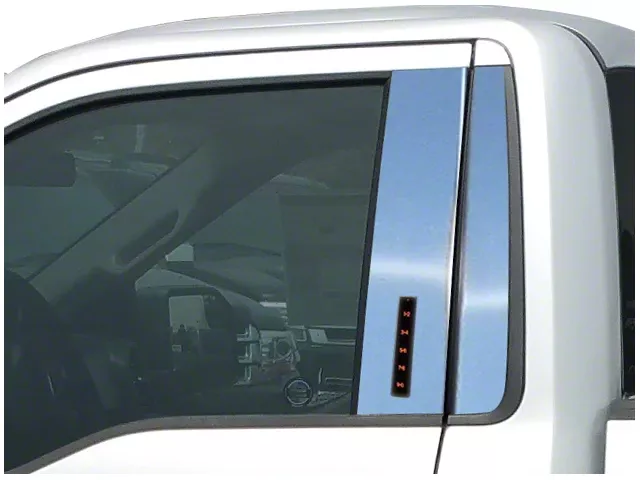 Pillar Post Trim with Keyless Entry Opening; Stainless Steel (15-24 F-150 Regular Cab)