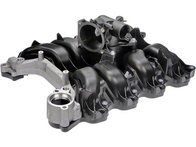 Plastic Intake Manifold (07-08 4.6L F-150)