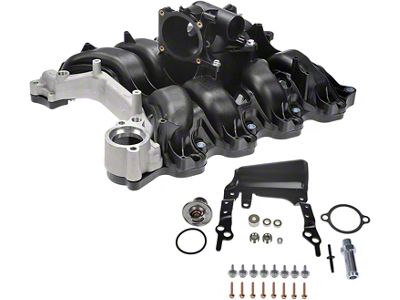 Plastic Intake Manifold (09-10 4.6L F-150)