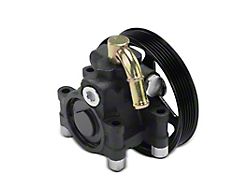 Power Steering Pump with Pulley (04-08 V8 F-150)