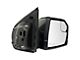 Powered Heated Memory Side Mirror with Spotlight Puddle Light; Passenger Side (18-19 F-150)
