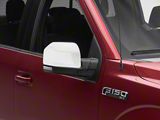 Powered Heated Mirror with LED Turn Signal; Passenger Side; Chrome (15-20 F-150)