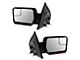 Powered Heated Side Mirrors with Black and Chrome Caps (04-08 F-150)