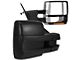 Powered Heated Towing Mirrors with Amber LED Turn Signals; Black (04-06 F-150)