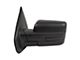 Powered Mirror; Textured Black; Driver Side (09-10 F-150)