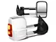 Powered Towing Mirrors with Amber Turn Signals; Chrome (97-03 F-150 Regular Cab, SuperCab)