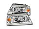 PRO-Series Projector Headlights; Chrome Housing; Clear Lens (04-08 F-150)