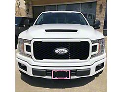 V2 Ram Air Hood; Unpainted (15-20 F-150, Excluding Raptor)