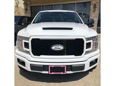 V2 Ram Air Hood; Unpainted (15-20 F-150, Excluding Raptor)