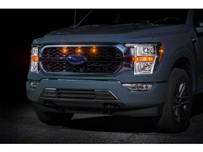 Raptor Style Grille Light Kit; White (21-23 F-150 King Ranch, Platinum)