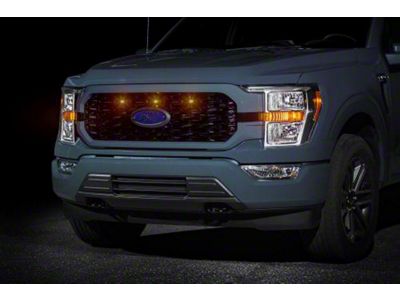 Raptor Style Grille Light Kit; White (21-23 F-150 STX)