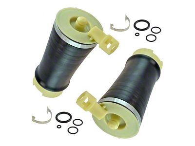 Rear Air Springs (97-03 F-150)