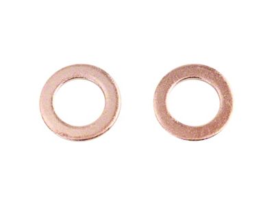 Rear Brake Hose Set (99-03 F-150 w/ Rear Disc Brakes, Excluding Harley Davidson)