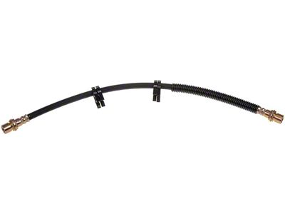 Rear Brake Hydraulic Hose; Center (09-14 F-150, Excluding Raptor)