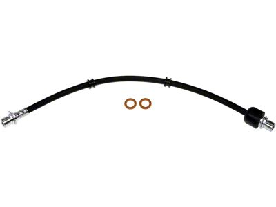 Rear Brake Hydraulic Hose; Center (15-20 F-150, Excluding Raptor)