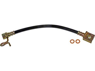Rear Brake Hydraulic Hose; Driver Side (04-08 F-150)